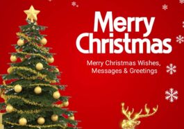 Christmas Messages For Your Loved And Dear Ones