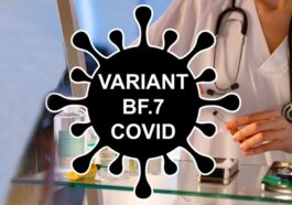 How deadly is Omicron's subvariant BF.7?