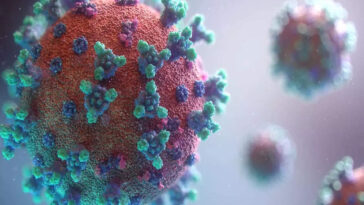 Government alert regarding new variant BF.7 of COVID.