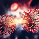 Entry of dangerous XBB.1.5 variant of Corona in India