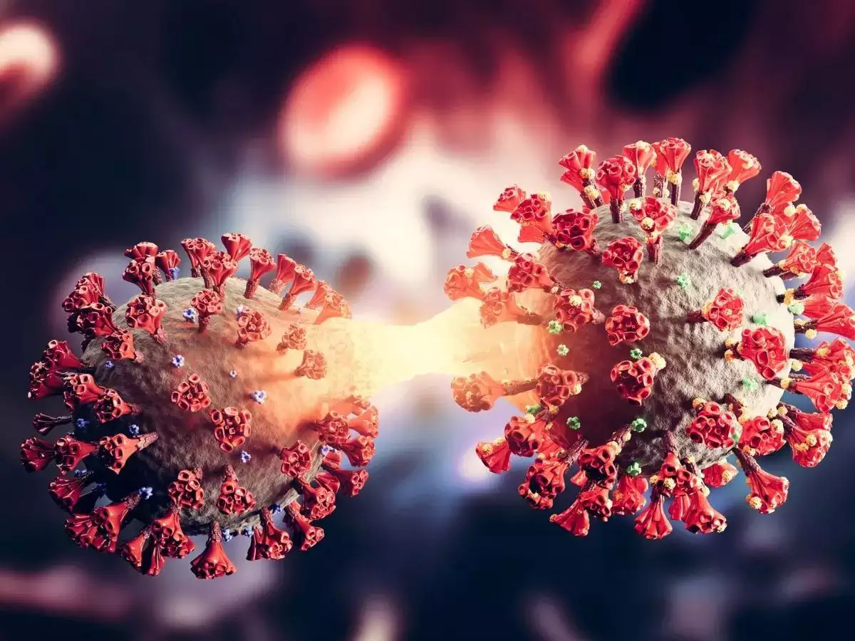 Entry of dangerous XBB.1.5 variant of Corona in India