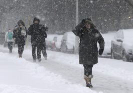 World Weather Report