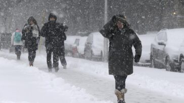 World Weather Report