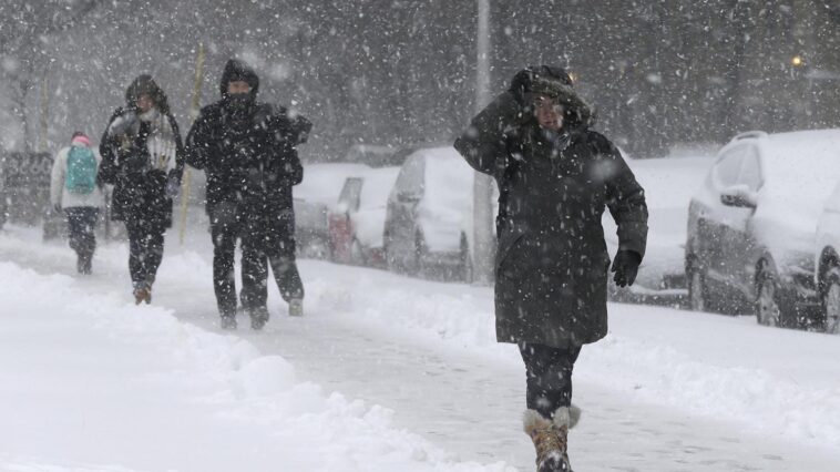 World Weather Report