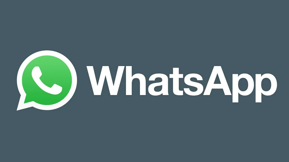 The newly added capacity for Android users of WhatsApp to transfer data