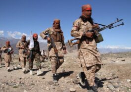 During raids on IS strongholds in Afghanistan, the Afghan Taliban killed 8 people.