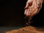 Government promises free food grains in 2023, more than 81 crore people will get this thing for FREE