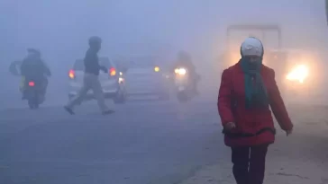 Delhi Winter
