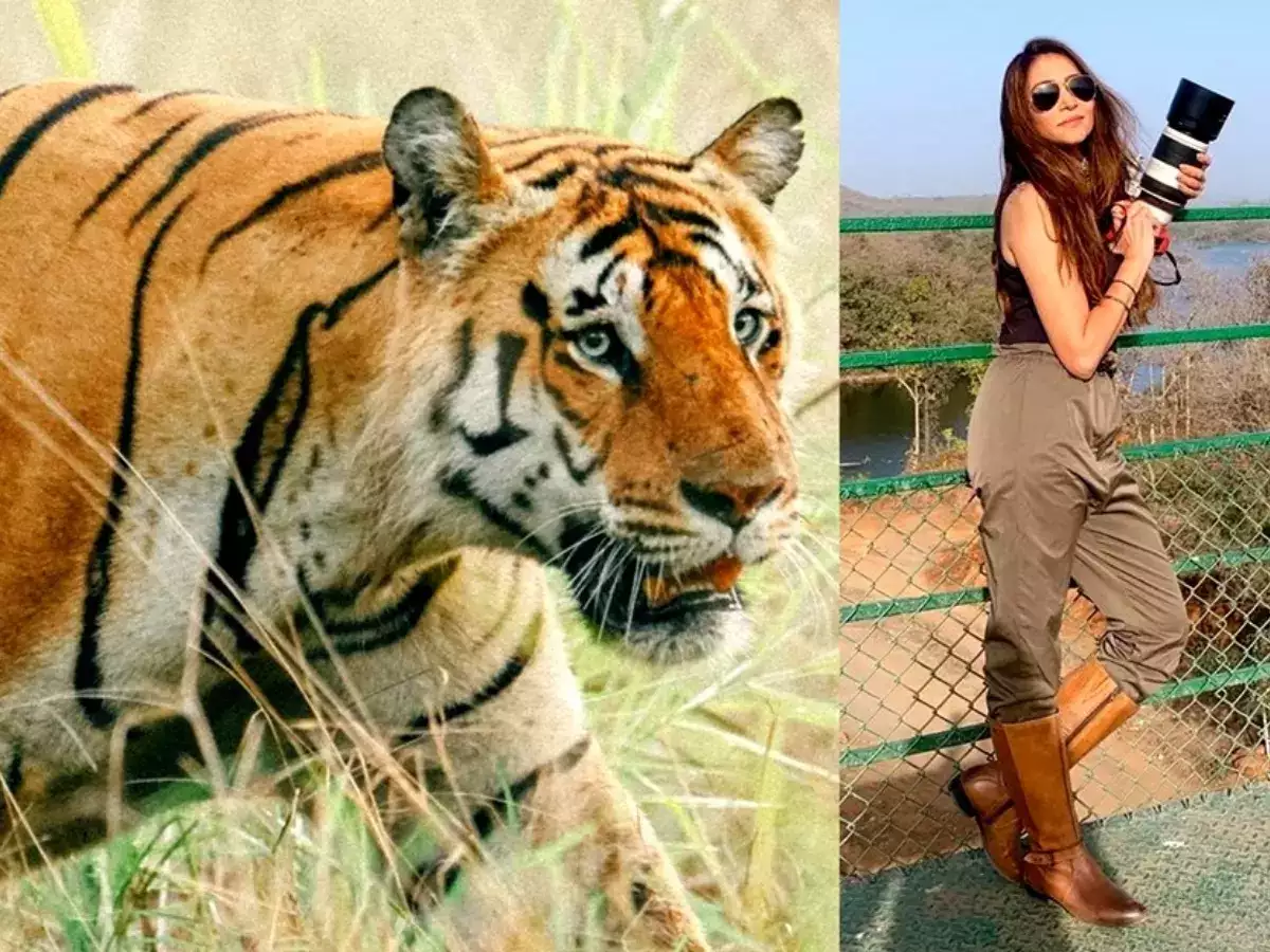 Ridhi Kandhari: Taking pictures of wildlife is like an addiction.