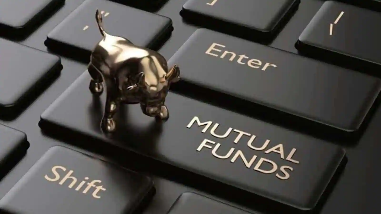 Mutual Fund Return: Bumper money made from this mutual fund, 12 crore returns on SIP of 10 thousand months!