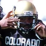 The death of former National Football League (NFL) star Charles Johnson