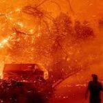 Climate misinformation is spreading at an alarming rate on Elon Musk's Twitter