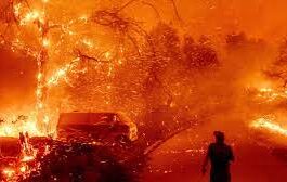 Climate misinformation is spreading at an alarming rate on Elon Musk's Twitter