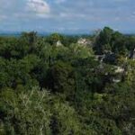 Mayan City from 2,000 Years Ago Found Under Guatemala's Rainforest