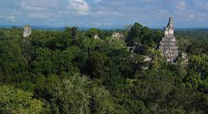 Mayan City from 2,000 Years Ago Found Under Guatemala's Rainforest
