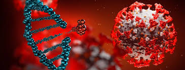 Hospitalization rates for COVID in China have increased by 70 %.