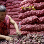 Now, onions cost more than meat in the Philippines. This is why