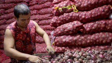 Now, onions cost more than meat in the Philippines. This is why