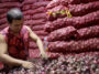 Now, onions cost more than meat in the Philippines. This is why