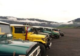 Truck Driver, Who Won Rs 1 Crore Lottery, Caught Stealing Shoes Worth Rs 16 Lakh