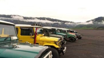 Truck Driver, Who Won Rs 1 Crore Lottery, Caught Stealing Shoes Worth Rs 16 Lakh