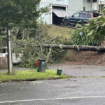 "Unprecedented" Cyclone Causes New Zealand National Emergency