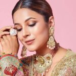 Shehnaaz Gill Wants To "Work And Save Money," Not Marry