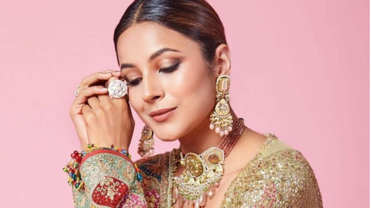 Shehnaaz Gill Wants To "Work And Save Money," Not Marry