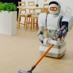 domestic robots