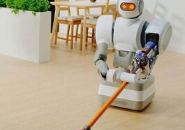 domestic robots