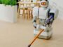 domestic robots