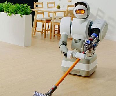 domestic robots