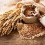 Centre forms panel to save wheat from heat