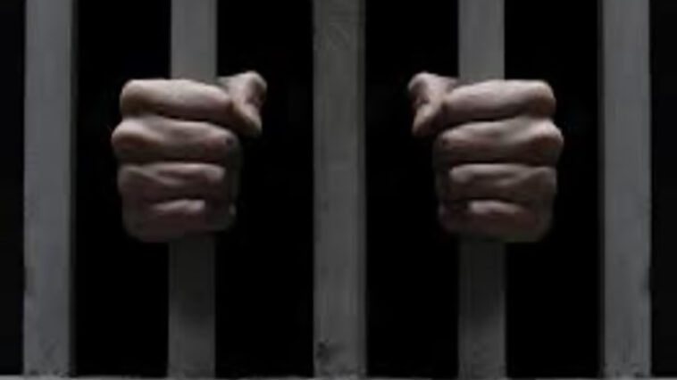 An Australian man of Indian descent stalks and kills his ex-girlfriend and admits guilt