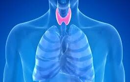 The Top 4 Thyroid-Friendly Snacks Before Bed