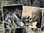 Man Is Imprisoned In China For Opening Coffins And Loving Skulls At An Ancient Burial Site