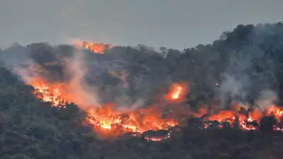 Goa Wildfires