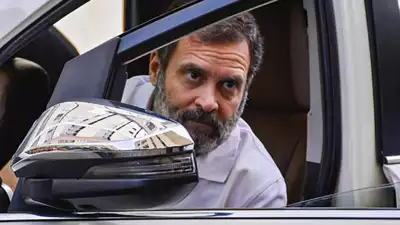 Rahul Gandhi Be Disqualified