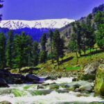 Ningle Nallah - Gulmarg