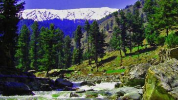 Ningle Nallah - Gulmarg