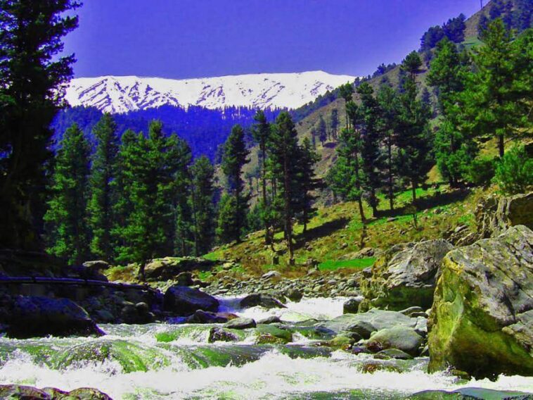 Ningle Nallah - Gulmarg