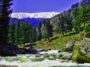 Ningle Nallah - Gulmarg