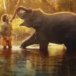 "The Elephant Whisperers"