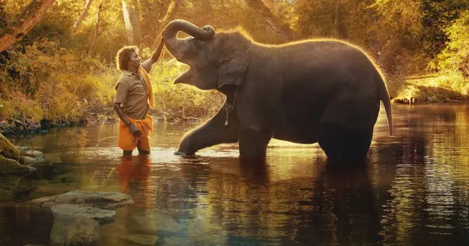 "The Elephant Whisperers"