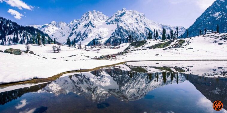 Thajiwas Glacier - Kashmir
