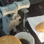 SpiceJet grounds two pilots