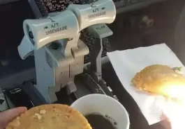 SpiceJet grounds two pilots