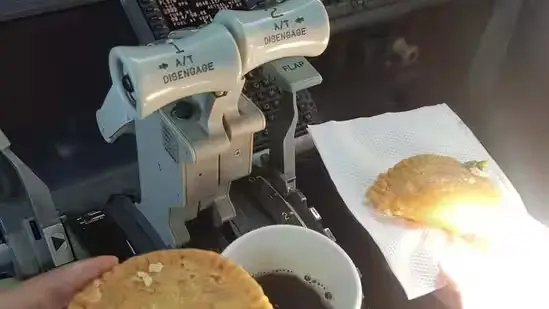 SpiceJet grounds two pilots