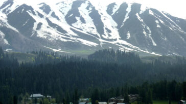 Gulmarg Biosphere Reserve