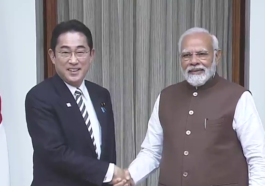 Japanese counterpart